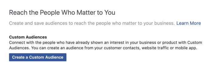 creating a custom audience